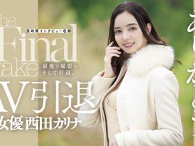 西田カリナ(西田卡莉娜)作品DASD-985介绍及封面预览