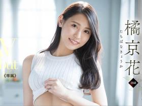 橘京花(Tachibana-Kyouka )作品DLDSS-083介绍及封面预览