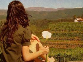 好好利用爱,把自己和自己的人生变得越来越理想