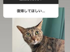 这就是松下问童子删帐号的原因?让退而不休的女优最困扰的是⋯