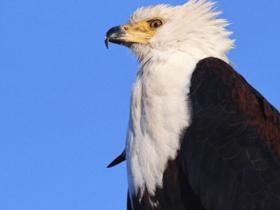 发现未知的自己:潜意识的神奇效力