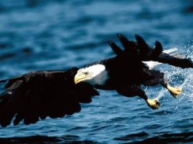 俞敏洪:有人“逼”你是幸福