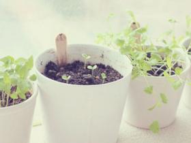 现在不去勇敢的努力,也许就再也没有机会了