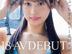 片子不要看太细,否则你会⋯