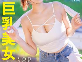 神木麗(神木丽,Kamiki-Rei)作品START-272介绍及封面预览